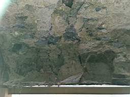 acastle 166250.jpg